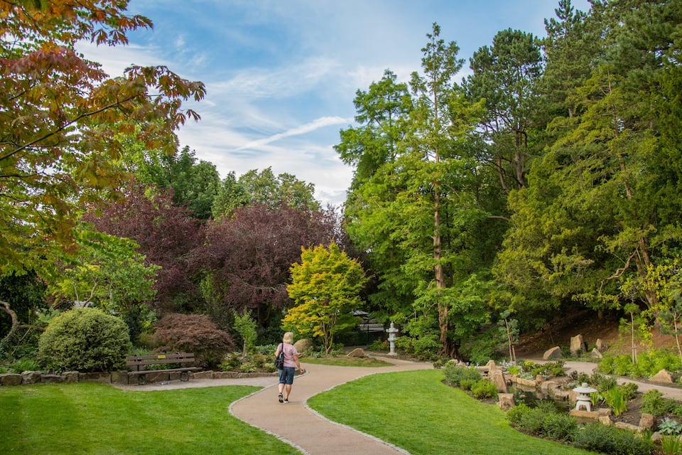 A park with a winding path, lush greenery, and a variety of trees.