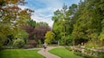 A park with a winding path, lush greenery, and a variety of trees.