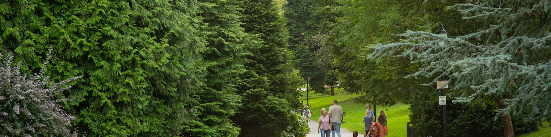 Valley Gardens