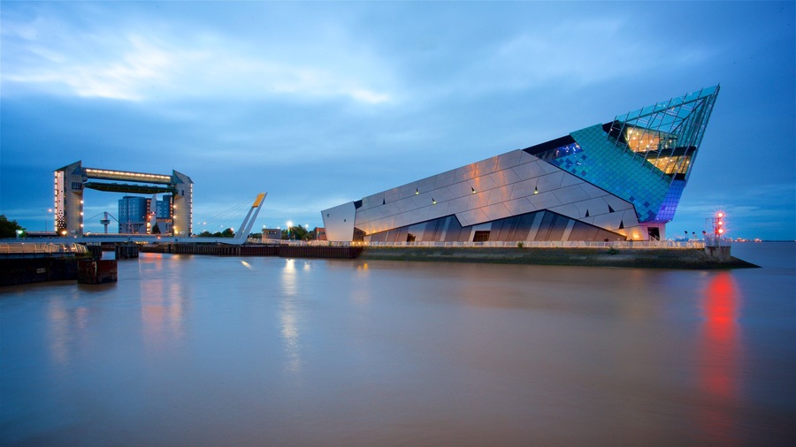 The Deep featuring general coastal views, night scenes and modern architecture