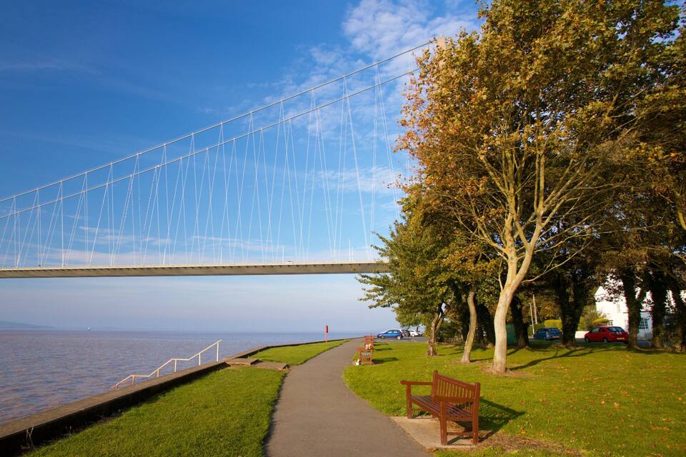 A pedestrian bridge over water, a grassy path, a bench, and trees.
