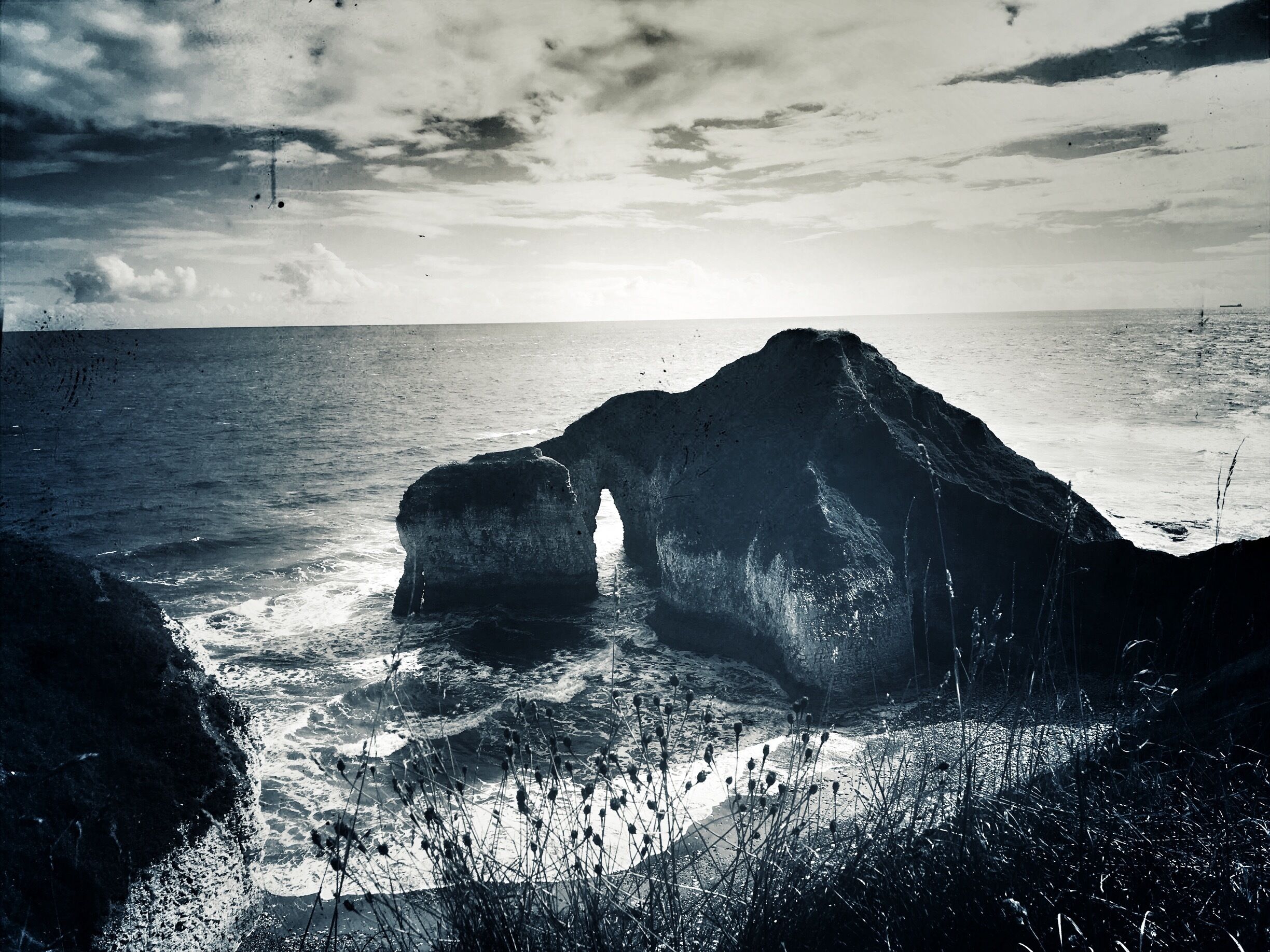 The coastline is stunning here and we got to see some of the birds heading back for autumn.