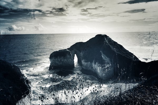 The coastline is stunning here and we got to see some of the birds heading back for autumn.