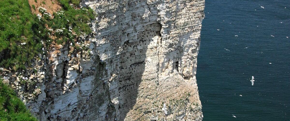 #Colorful Flowers in the edge of the Bhempton Cliffs
#blue
Bempton Cliffs is a nature reserve, run by the RSPB, at Bempton in the East Riding of Yorkshire, England.
Address: Visitor Centre, Cliff Ln, Bempton, Bridlington, East Riding of Yorkshire YO15 1JF, United Kingdom
#BeachBound
TO SEE ALL OF OUR TRAVEL FILMS:
AMAZON: http://bit.ly/amazoncom_ambient WEBSITE: https://www.naturedvds.com DOWNLOADS: https://vimeo.com/relaxingnaturevideos
YOUTUBE: http://bit.ly/TheAmbientCollections