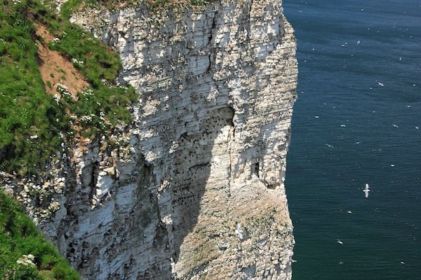 #Colorful Flowers in the edge of the Bhempton Cliffs
#blue
Bempton Cliffs is a nature reserve, run by the RSPB, at Bempton in the East Riding of Yorkshire, England.
Address: Visitor Centre, Cliff Ln, Bempton, Bridlington, East Riding of Yorkshire YO15 1JF, United Kingdom
#BeachBound
TO SEE ALL OF OUR TRAVEL FILMS:
AMAZON: http://bit.ly/amazoncom_ambient WEBSITE: https://www.naturedvds.com DOWNLOADS: https://vimeo.com/relaxingnaturevideos
YOUTUBE: http://bit.ly/TheAmbientCollections