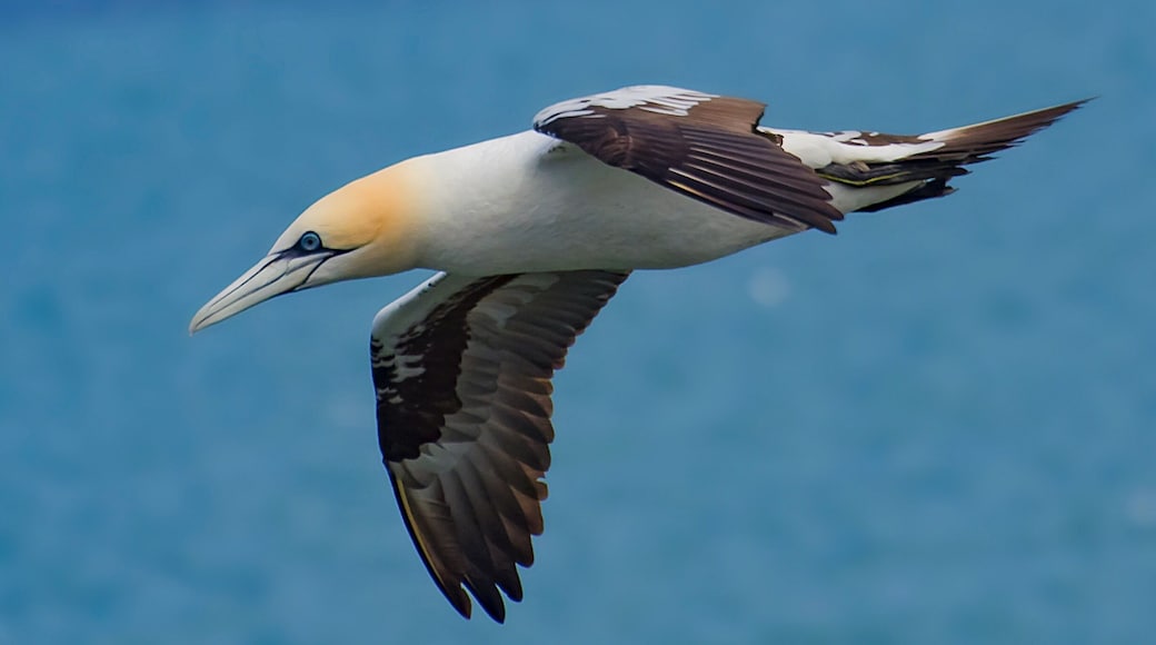 Fab place for bird photography