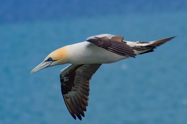 Fab place for bird photography