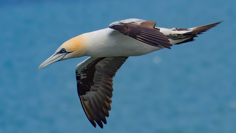 Fab place for bird photography