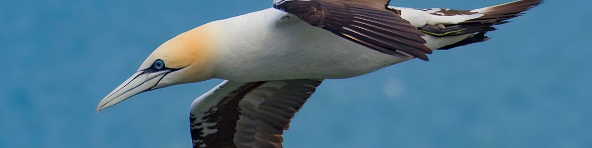 Fab place for bird photography