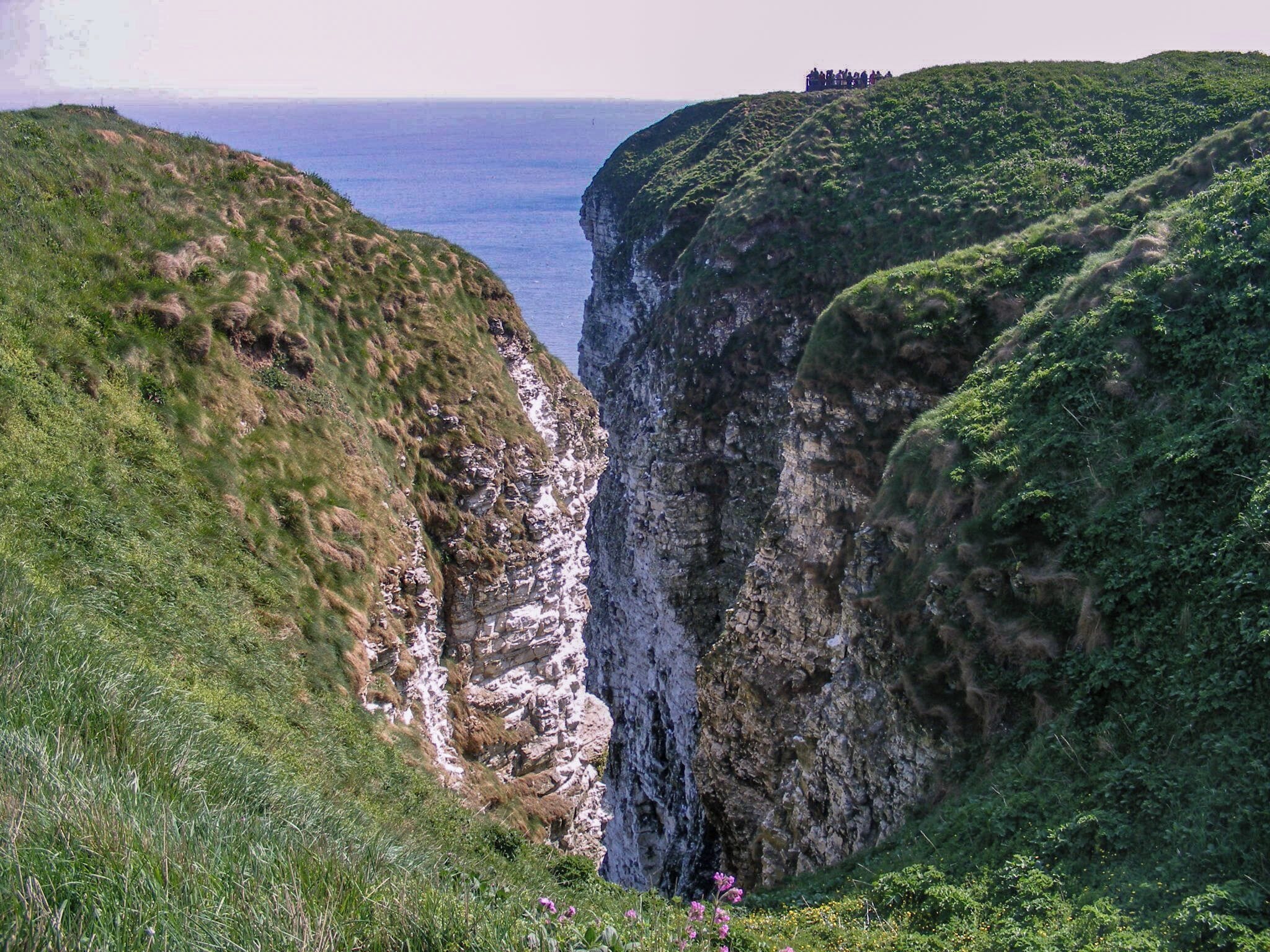 Stunning spot to see birds nesting on the cliff edge.