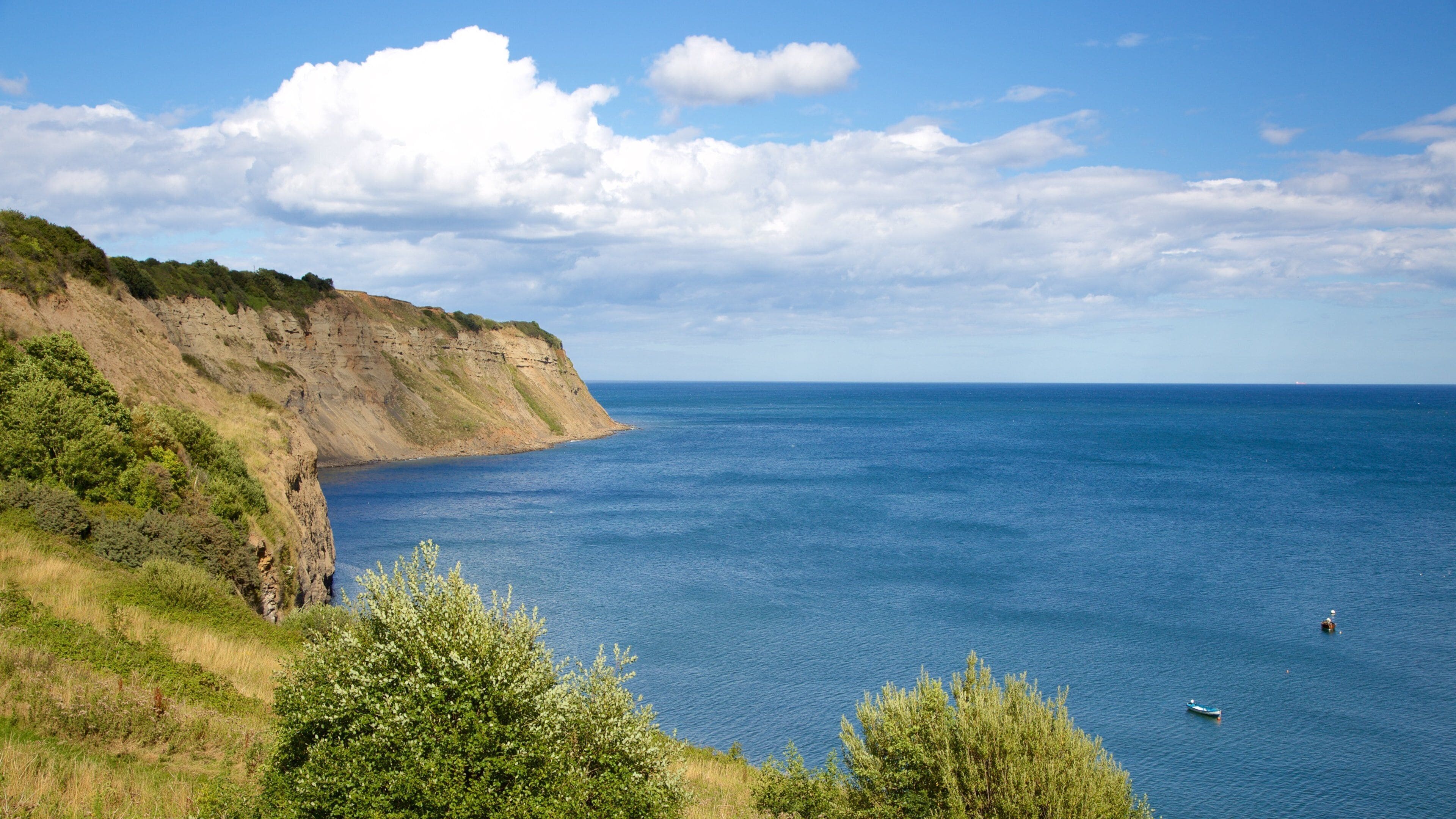 Robin Hood\'s Bay Beach featuring general coastal views and landscape views