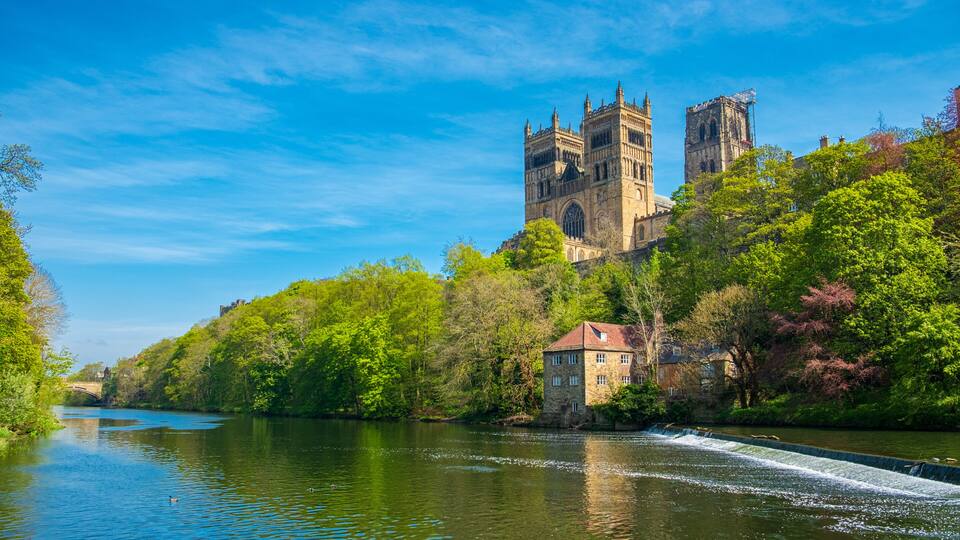 A river with a bridge, a historic building with towers, and lush greenery.