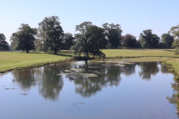Reflection on the water