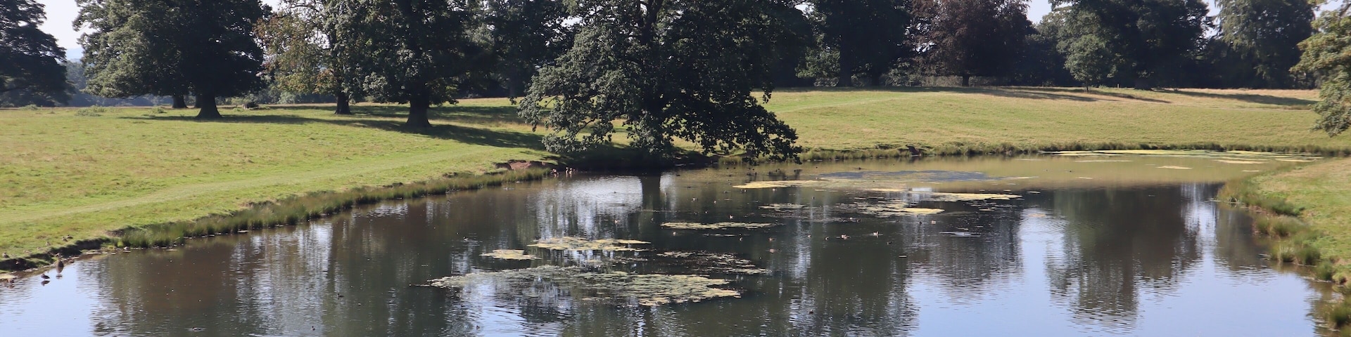 Reflection on the water