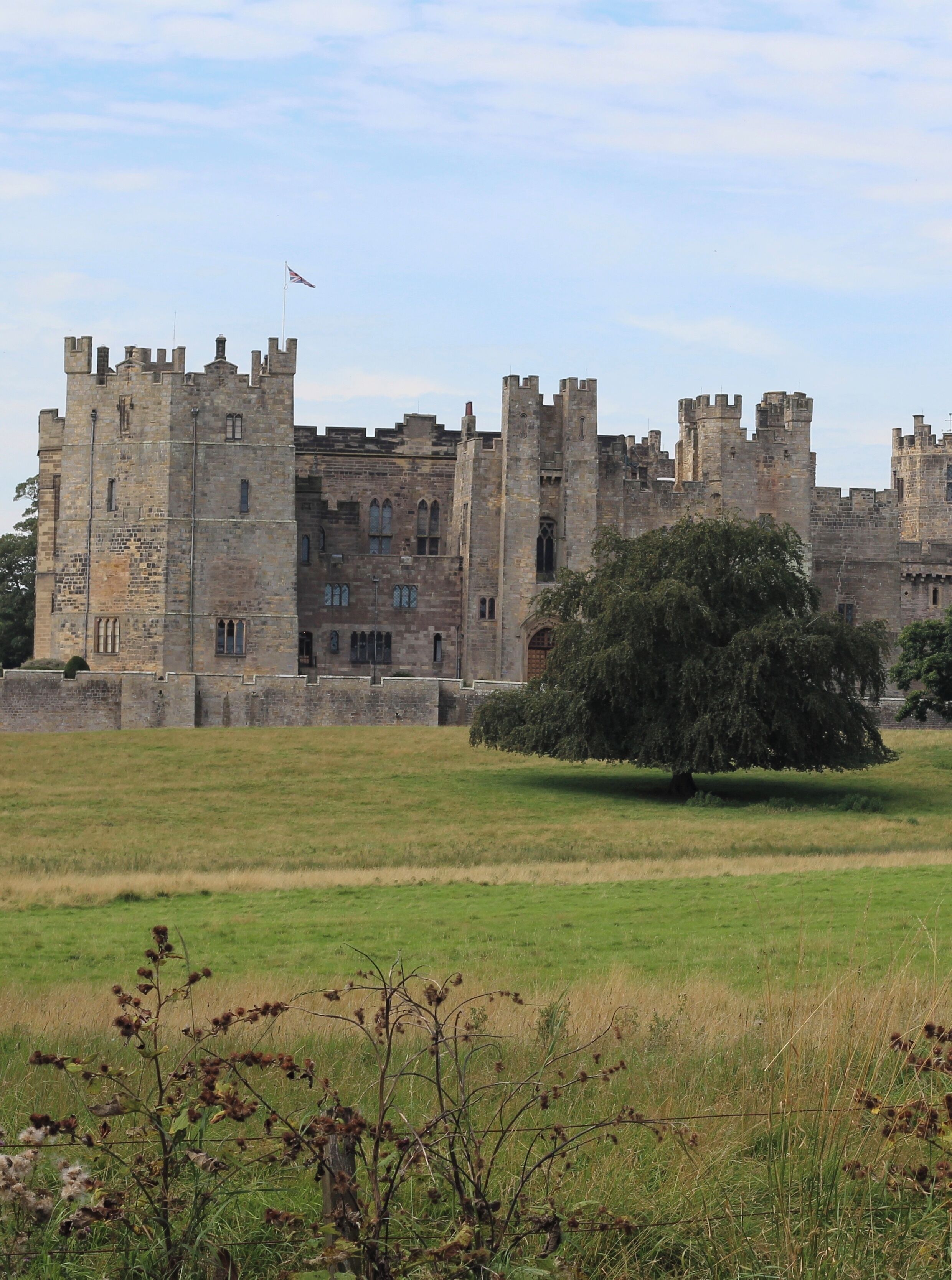 Lovely castle and grounds to explore 