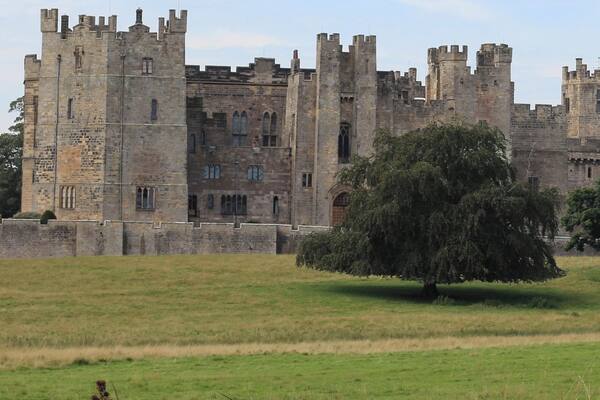 Lovely castle and grounds to explore