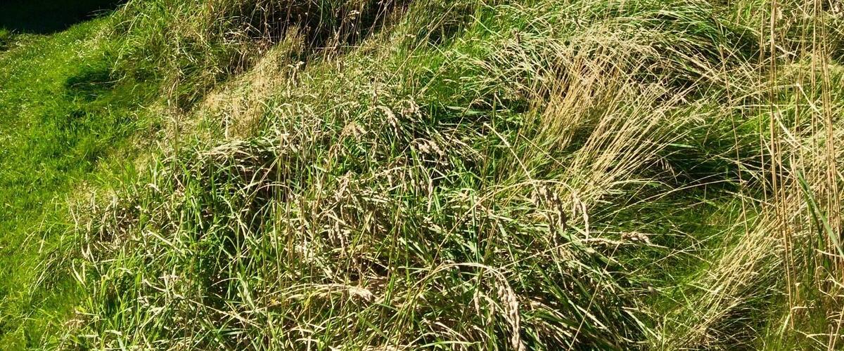 Atmospheric location on the northern frontier of the empire.