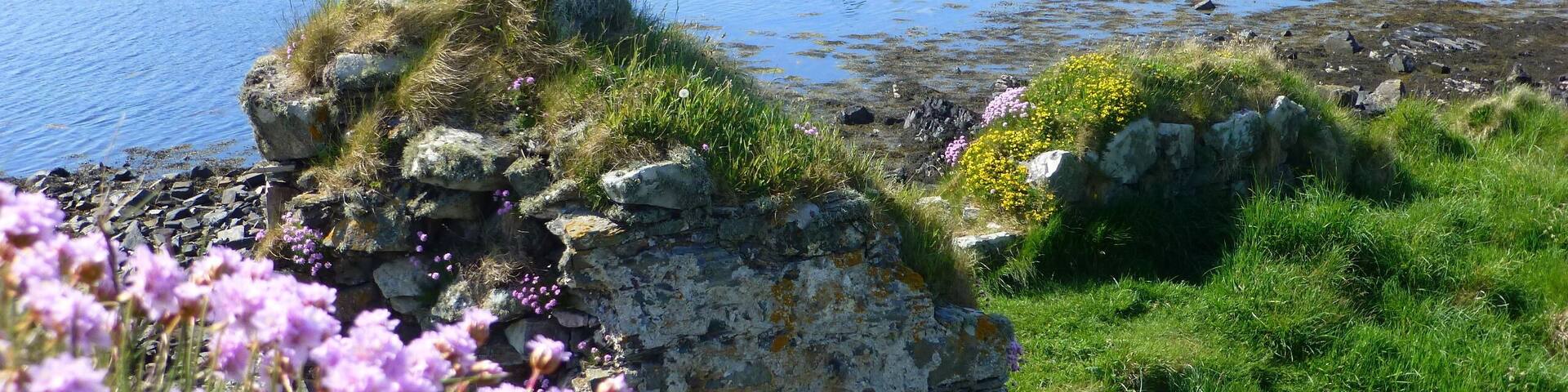That time we went to Islay to see where our favorite whiskey is distilled. There are numerous distilleries on the island and wonderful tours. Hire a car from a local and stay at a lovely B&B.