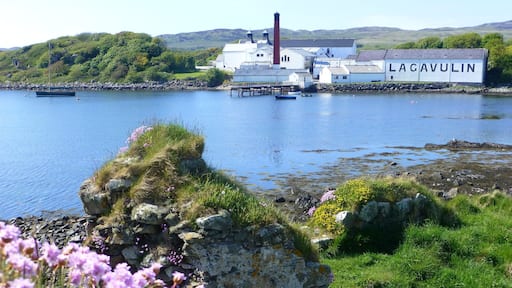 That time we went to Islay to see where our favorite whiskey is distilled. There are numerous distilleries on the island and wonderful tours. Hire a car from a local and stay at a lovely B&B.