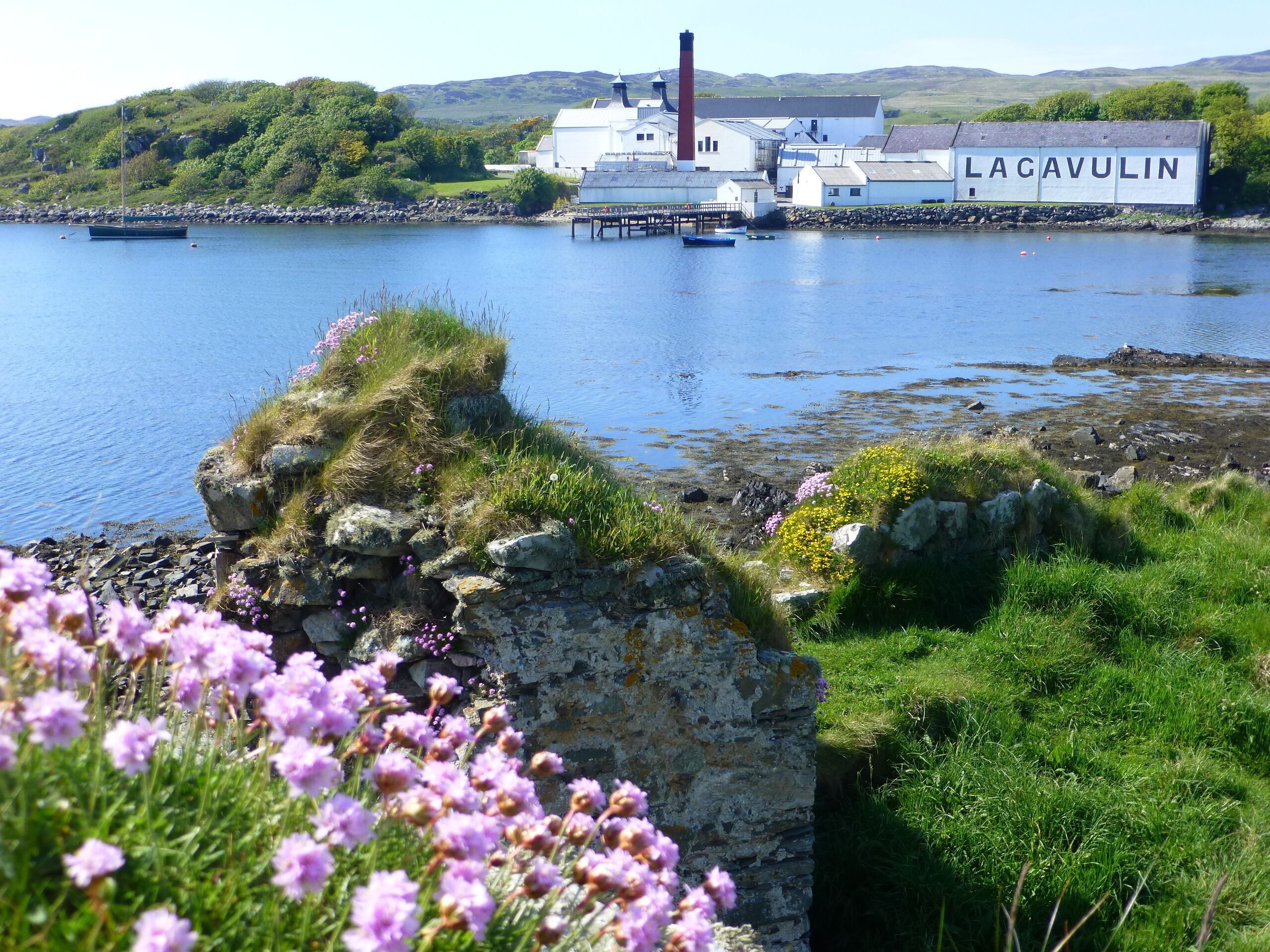 A coastal scene with a white building labeled "LACAVULIN" and a rocky shoreline with purple flowers.