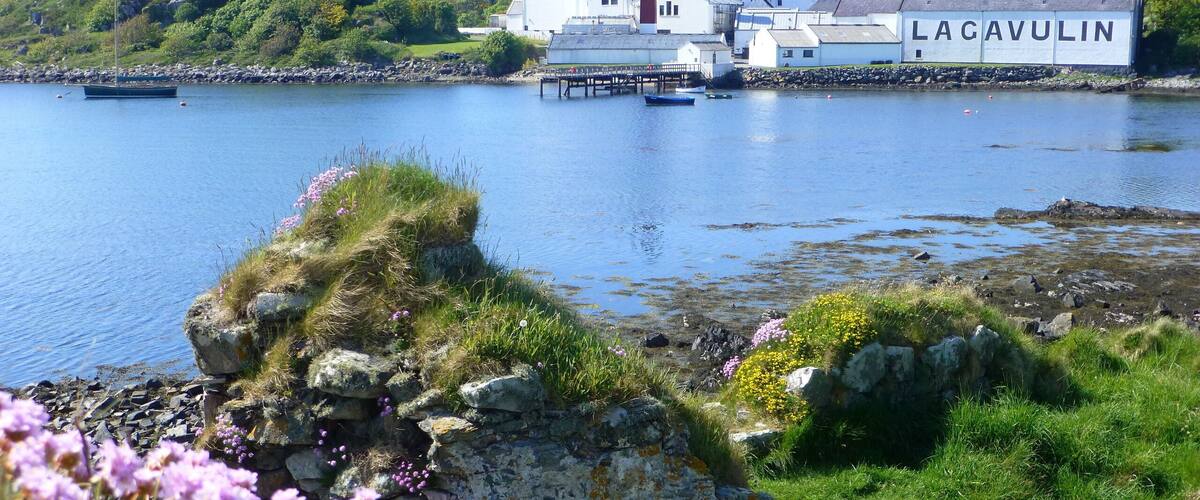A coastal scene with a white building labeled "LACAVULIN" and a rocky shoreline with purple flowers.
