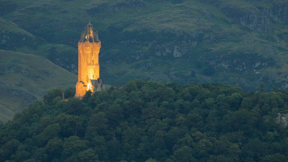 A medieval tower on a hill surrounded by dense forest.