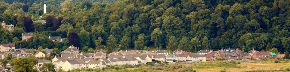 National Wallace Monument which includes forests, a monument and a small town or village