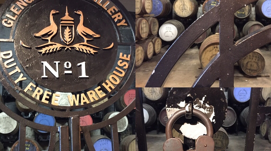 Brilliant tour; delicious whisky - at 11am!!