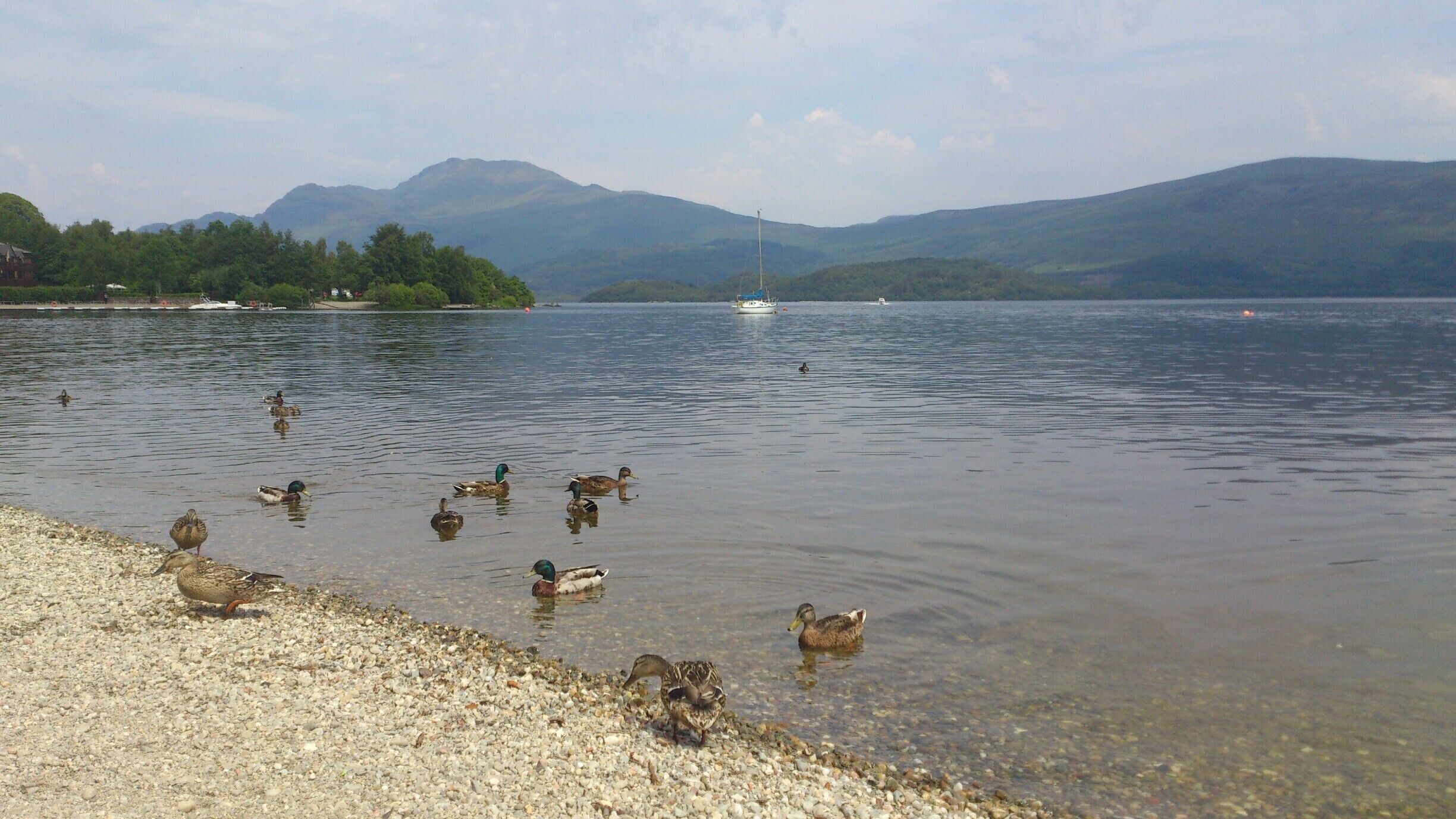 Aw look at the ducks
#Waterlust
#WeekendGetaway