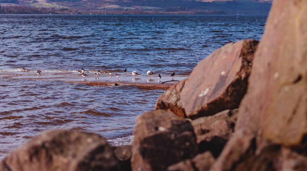 Amazing views around Loch Lomond.