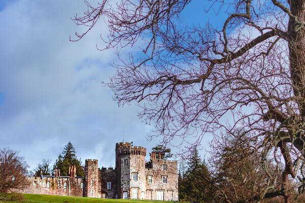 Balloch castle, a beautiful country house.🌳
Built in the 19th century it is now part of the Loch Lomond and the Trossachs National Park. Too bad it's not open to the public but maybe someday.🤞🏻
.