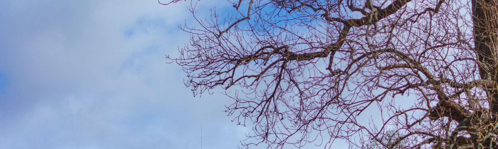 Balloch castle, a beautiful country house.🌳
Built in the 19th century it is now part of the Loch Lomond and the Trossachs National Park. Too bad it's not open to the public but maybe someday.🤞🏻
.
