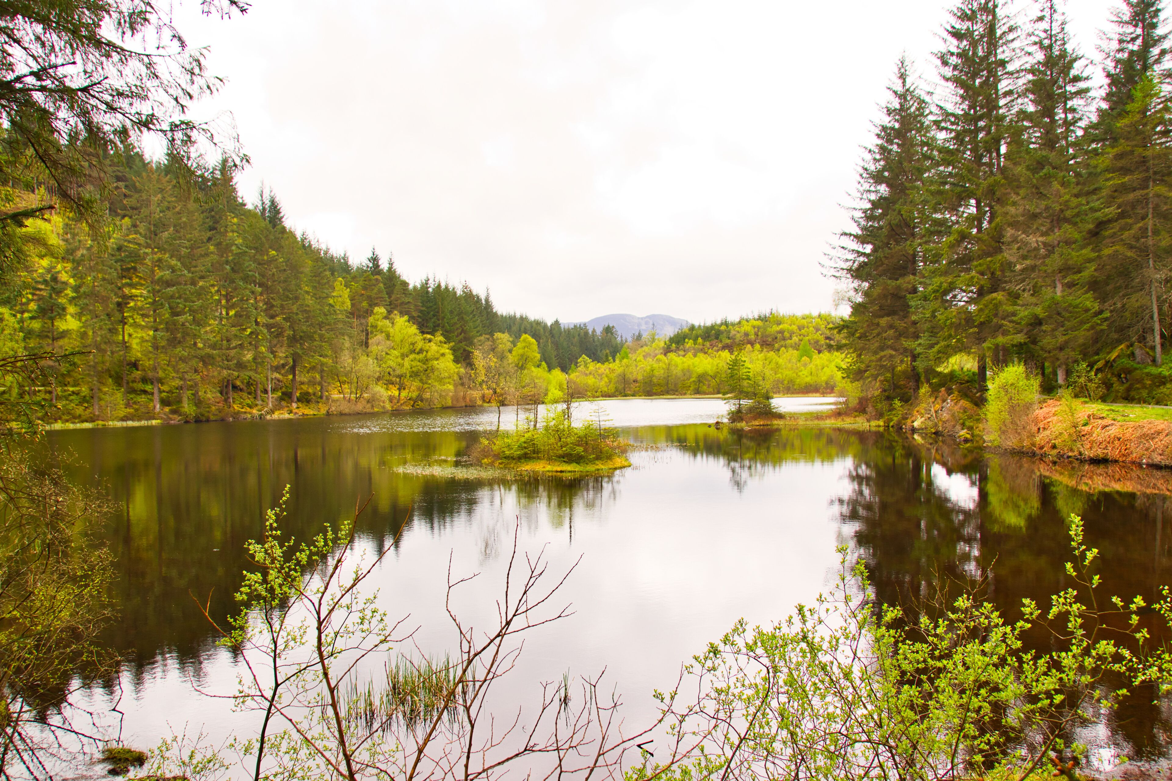 Loch Ard, Trossachs National Park, Stirling District, Scotland, United Kingdom