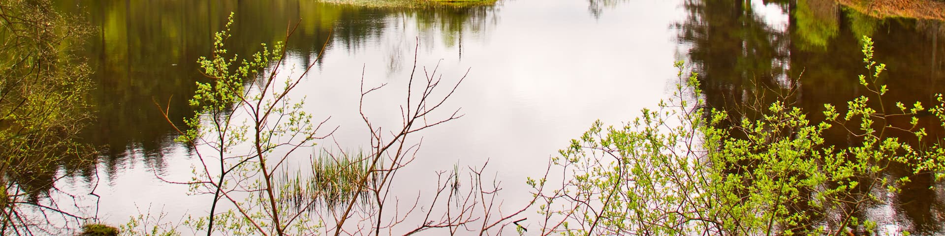 Loch Ard, Trossachs National Park, Stirling District, Scotland, United Kingdom