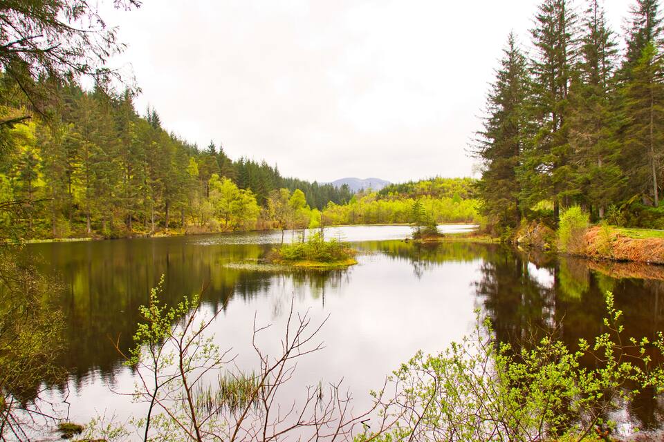 A calm lake surrounded by dense forest and mountains in the background.