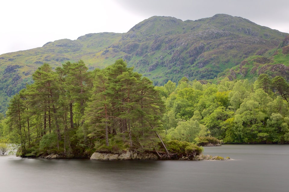 A calm lake surrounded by dense green forests and a mountain range in the background.