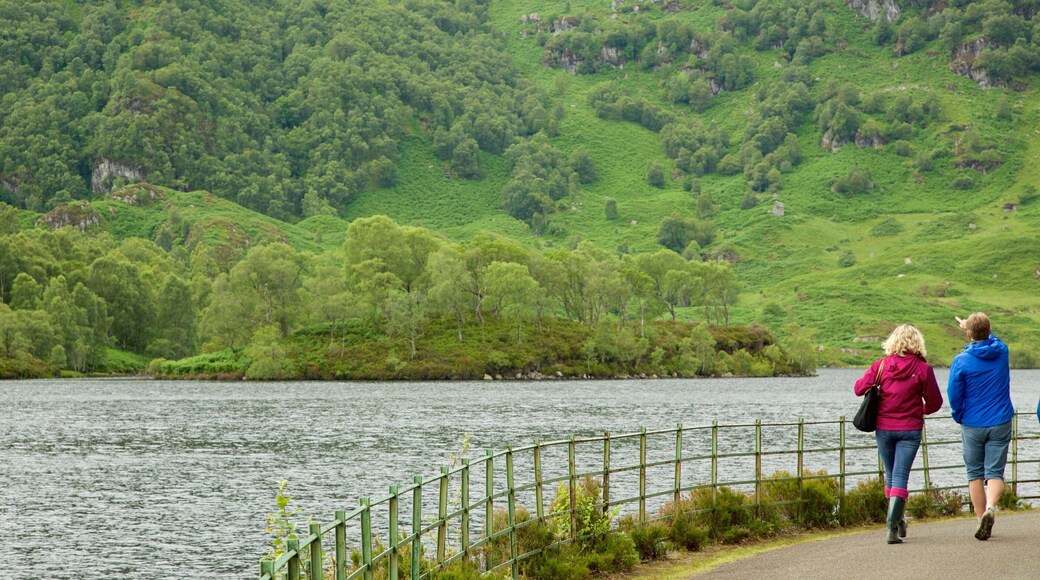 Loch Katrine bevat een meer of poel en bos en ook een klein groepje mensen