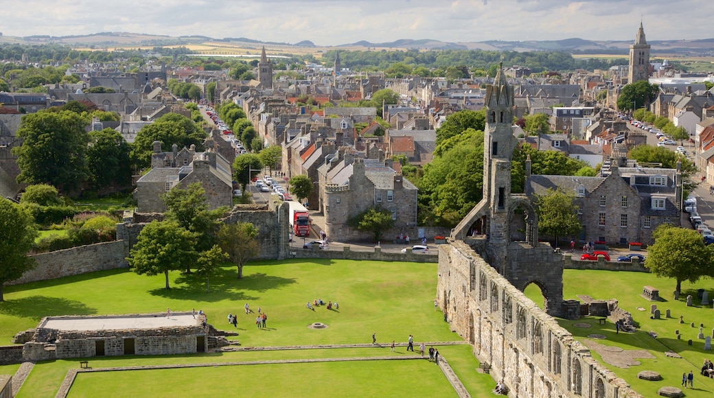 Cathédrale St Andrew mettant en vedette paysages et une ville