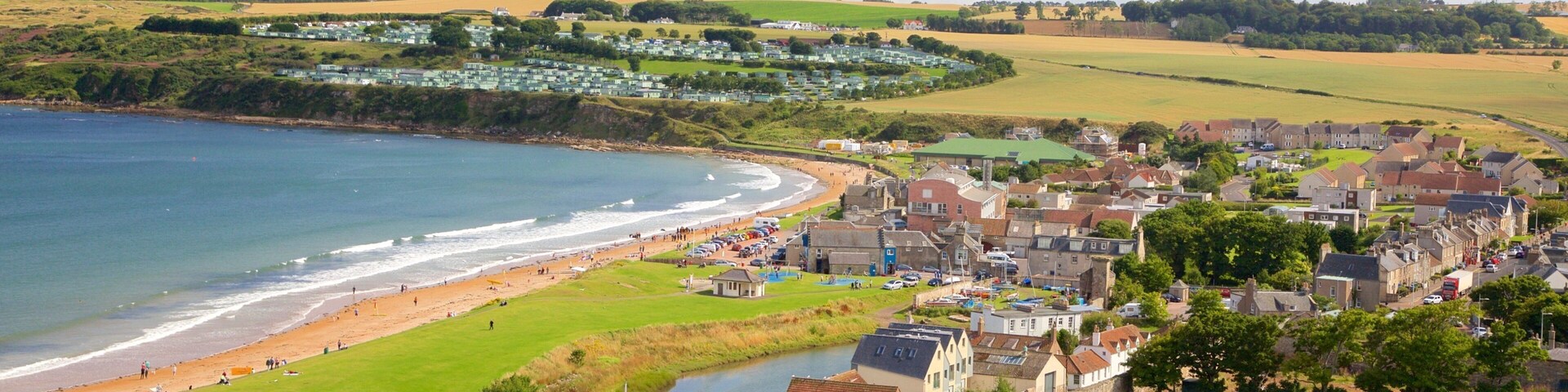 Catedral de St. Andrews que inclui paisagem, uma cidade pequena ou vila e uma praia de areia