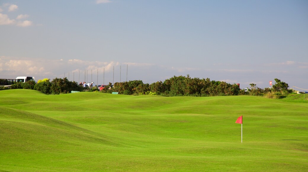 St. Andrews Links showing heritage architecture and golf