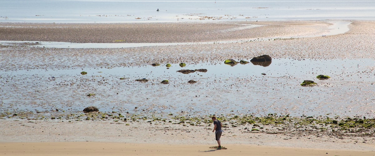 Silver Sands Beach which includes a beach