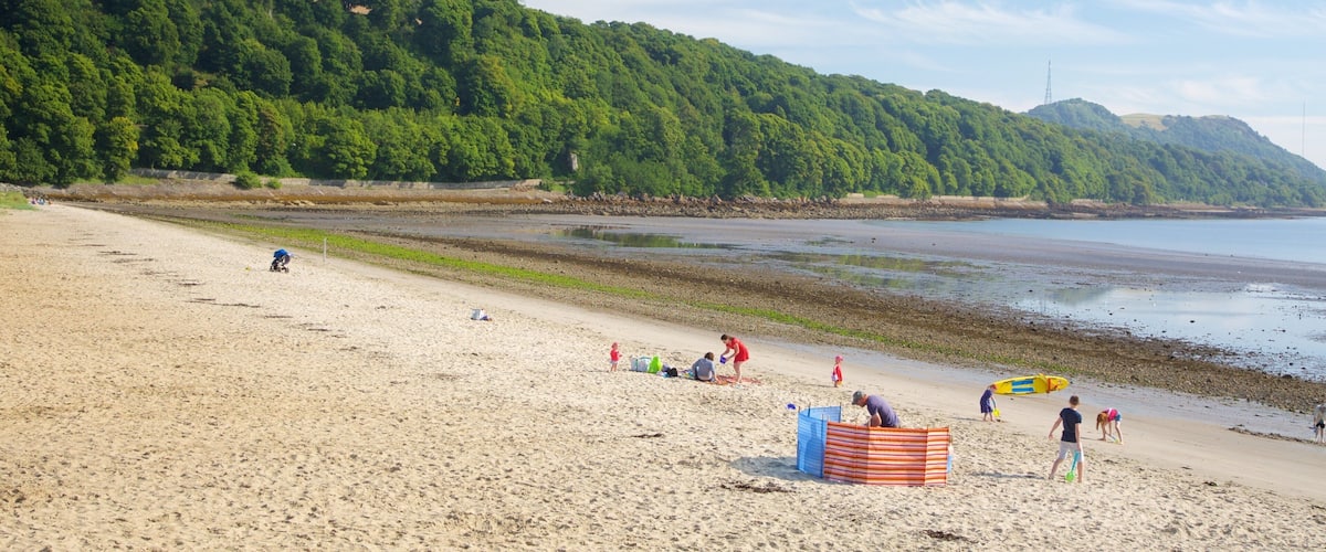 Silver Sands Beach showing a beach