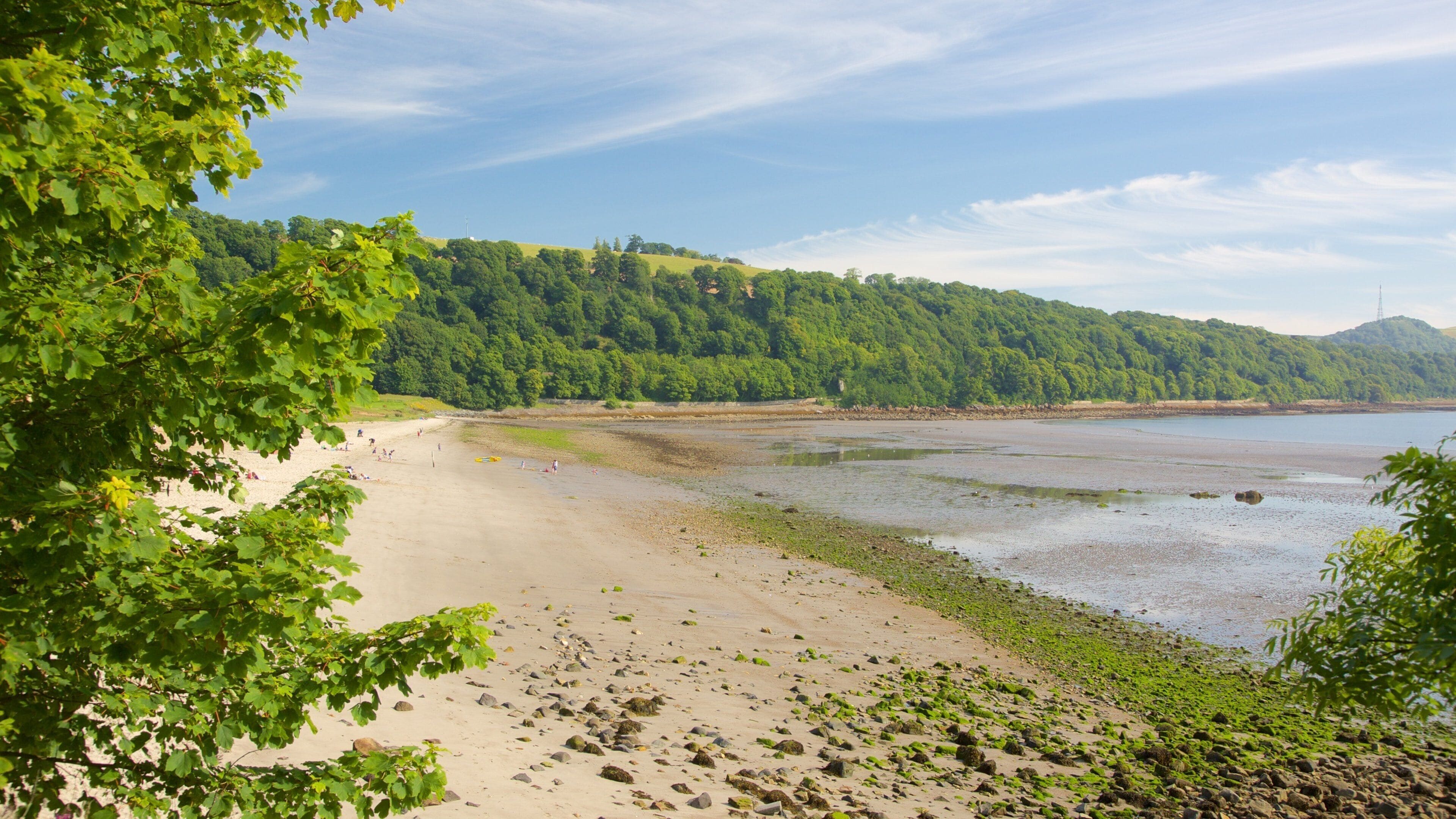 Silver Sands Beach which includes a sandy beach