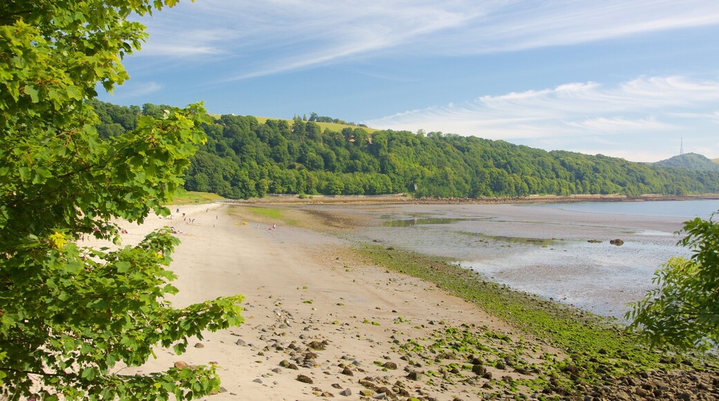 Silver Sands Beach which includes a sandy beach