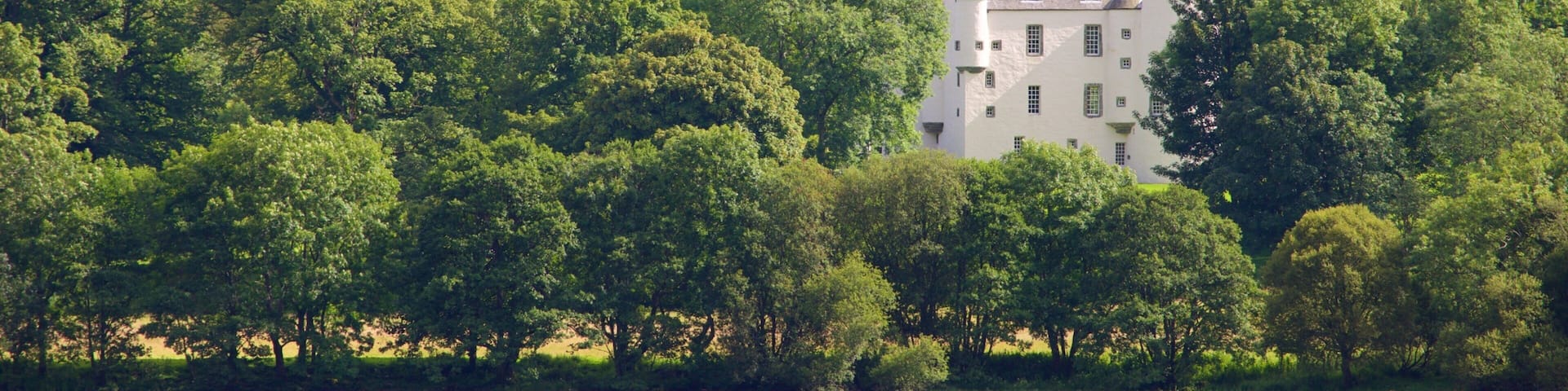Loch Earn which includes forest scenes and a lake or waterhole
