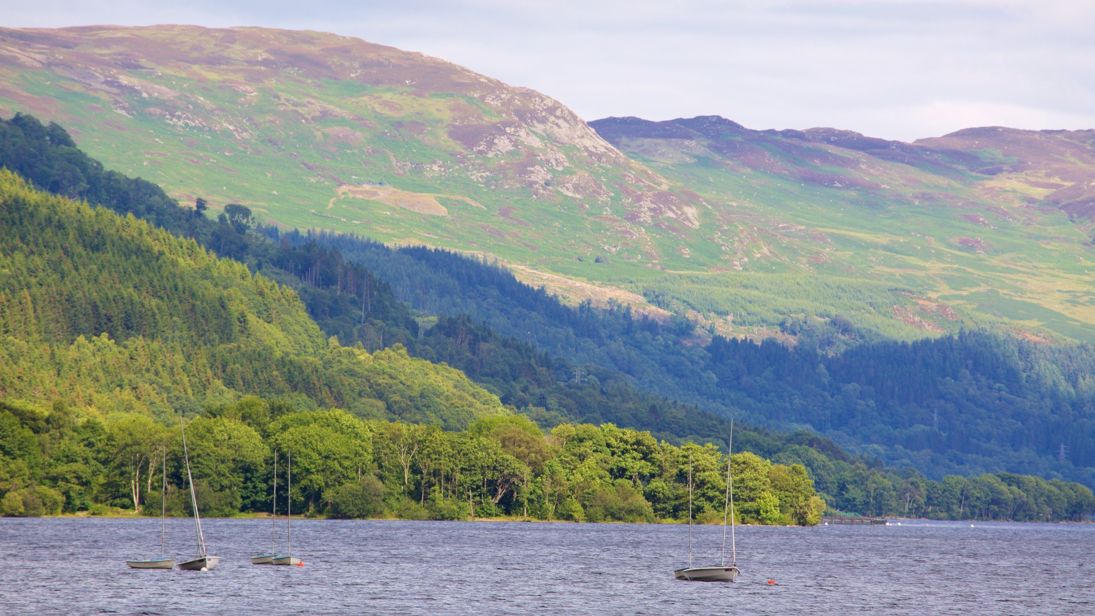 A lake with sailboats, surrounded by dense forests and rolling hills.