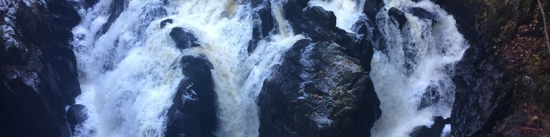 How cold does the water look ?!