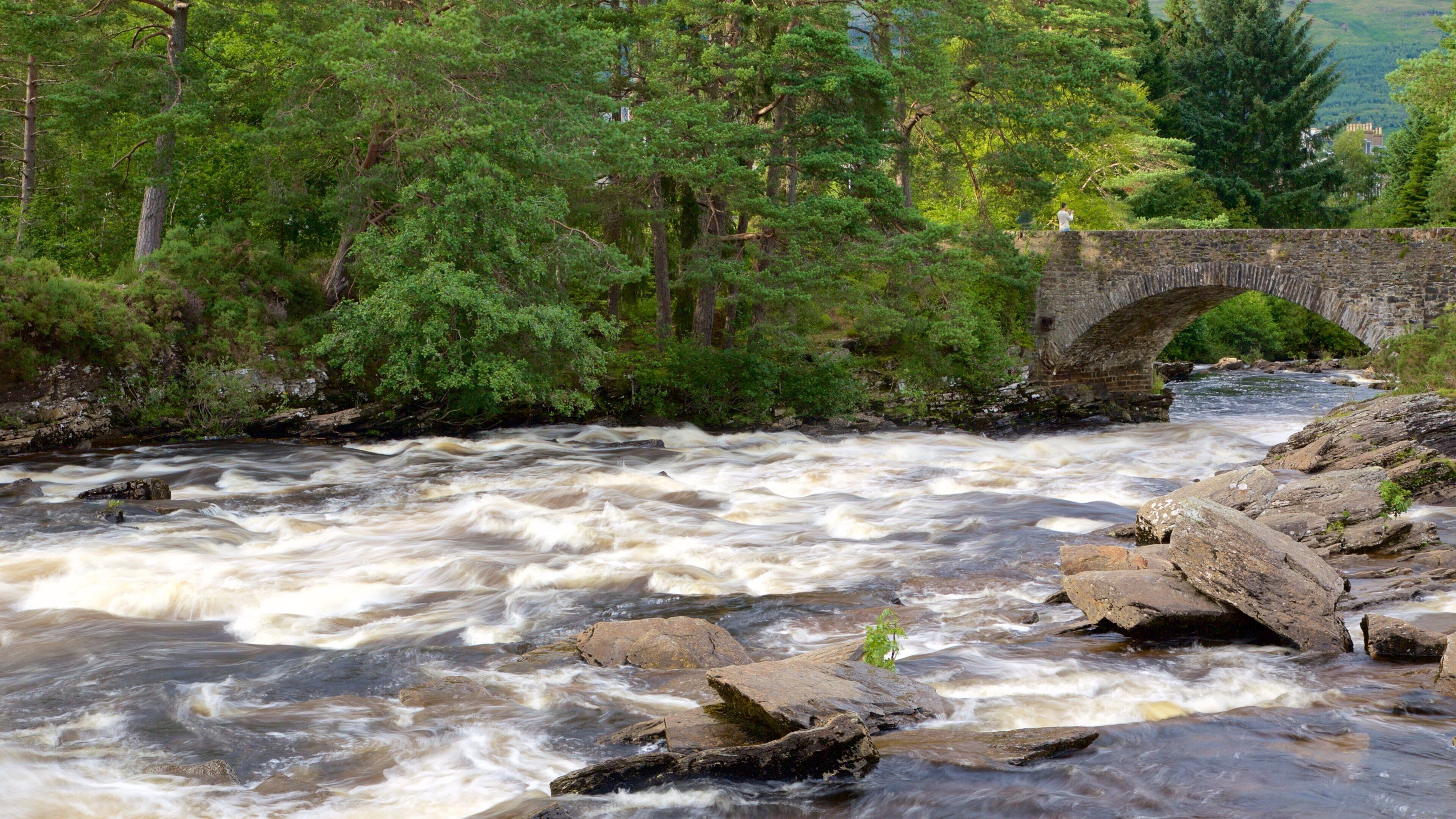 Falls of Dochart mostrando córrego, uma ponte e cenas de floresta