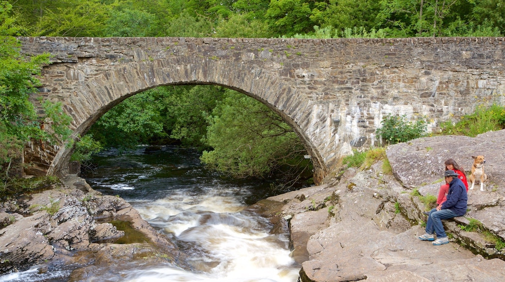 Falls of Dochart which includes rapids and a bridge as well as a small group of people