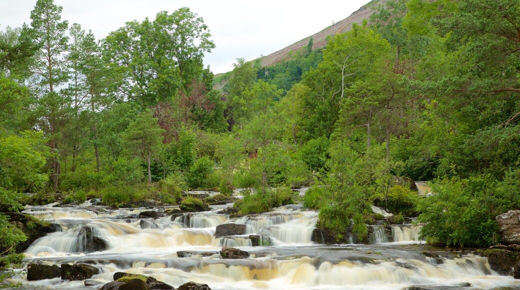 Falls of Dochart which includes rapids and forest scenes